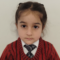 SARAH MEHRAJ BISATI