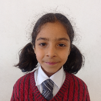 PEERZADI EELAF NASEER