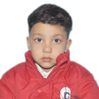 MOHAMMAD HISHAAM GANAI