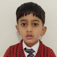 MOHAMMAD USMAN WANI