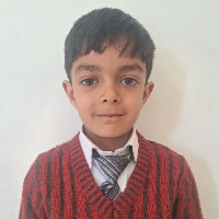 MUHAMMAD USMAN MIR