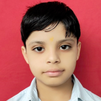 RUDRA PRATAP SINGH MEENA  